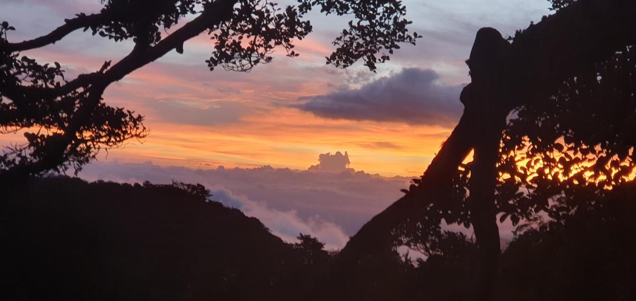 Outbox Inn Monteverde 外观 照片