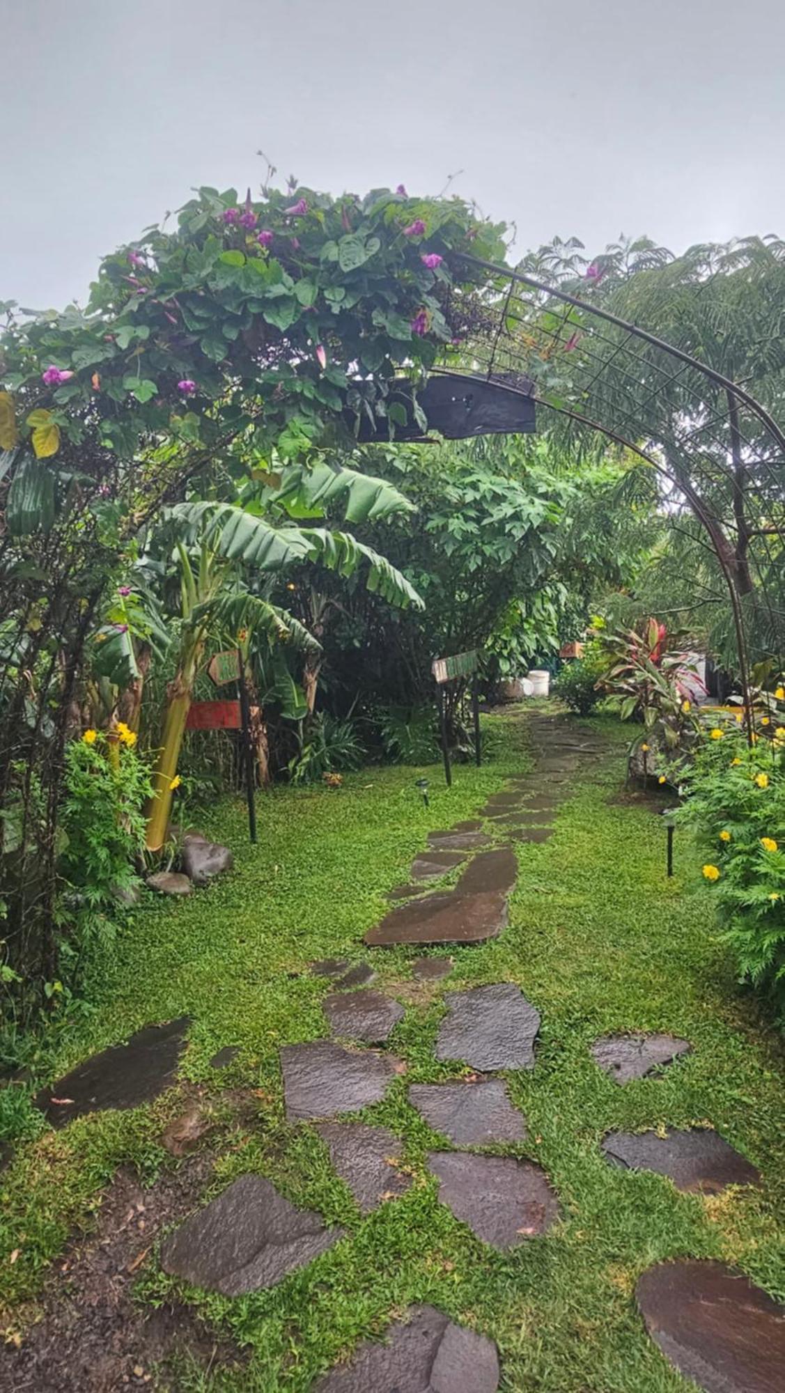 Outbox Inn Monteverde 外观 照片